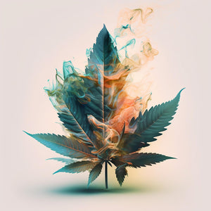 Does THCA Get You High? Exploring the Benefits of THCA and CBD